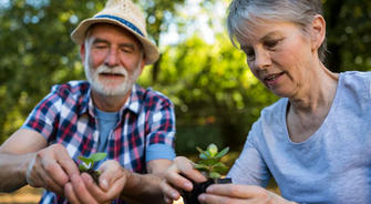 Changes in Emotional Needs: How Do Relationships in Later Life Differ from Those in Youth?